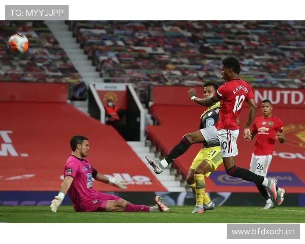 塞尔维亚锋线旗帜：弗拉霍维奇的责任与定位