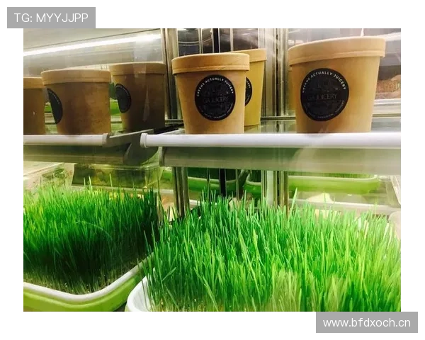 浓眉哥家里请了三个厨师就为了让他每天吃不一样的有机餐